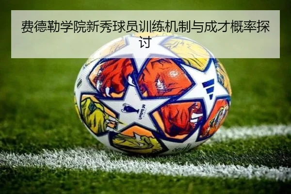 费德勒学院新秀球员训练机制与成才概率探讨